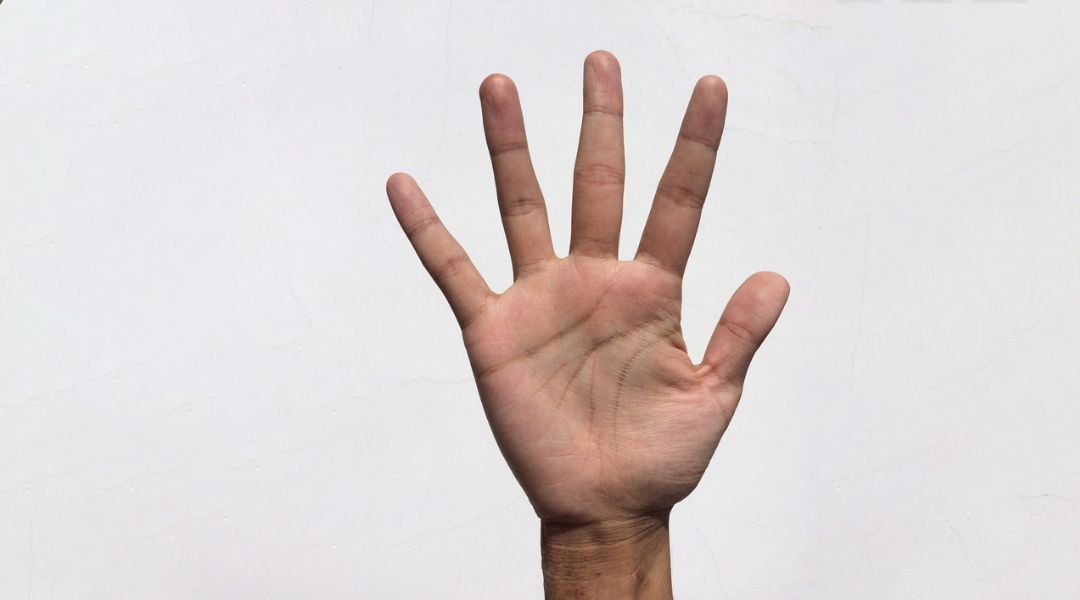 Estrazione delle linee palmari delle impronte digitali