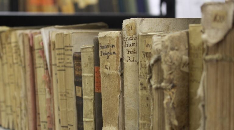 Scopri di più sull'articolo A Multimodal Fruition Model for Graphical Contents in Ancient Books