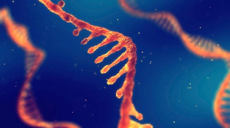 Scopri di più sull'articolo A Gene Ontology-Driven Wide and Deep Learning Architecture for Cell-Type Classification from Single-Cell RNA-seq Data